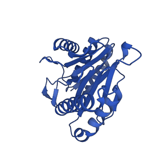 13695_7pxa_a_v1-1
Open-gate mycobacterium 20S CP proteasome in complex MPA - global 3D refinement