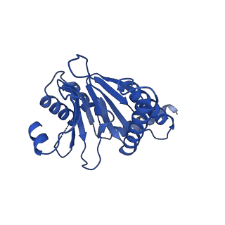 13695_7pxa_d_v1-1
Open-gate mycobacterium 20S CP proteasome in complex MPA - global 3D refinement