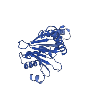 13695_7pxa_f_v1-1
Open-gate mycobacterium 20S CP proteasome in complex MPA - global 3D refinement