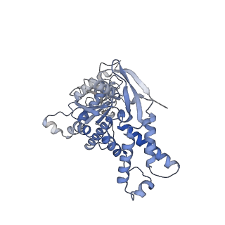 13696_7pxb_A_v1-1
Substrate-engaged mycobacterial Proteasome-associated ATPase - focused 3D refinement (state B)