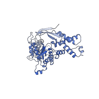 13696_7pxb_B_v1-1
Substrate-engaged mycobacterial Proteasome-associated ATPase - focused 3D refinement (state B)