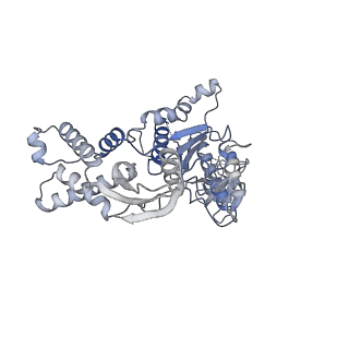 13696_7pxb_C_v1-1
Substrate-engaged mycobacterial Proteasome-associated ATPase - focused 3D refinement (state B)