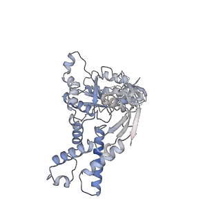 13696_7pxb_D_v1-1
Substrate-engaged mycobacterial Proteasome-associated ATPase - focused 3D refinement (state B)