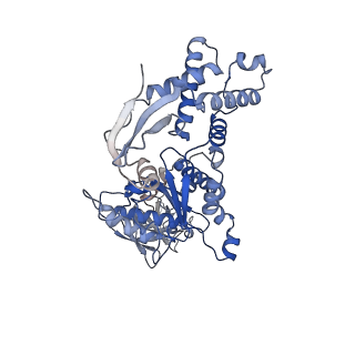 13696_7pxb_E_v1-1
Substrate-engaged mycobacterial Proteasome-associated ATPase - focused 3D refinement (state B)