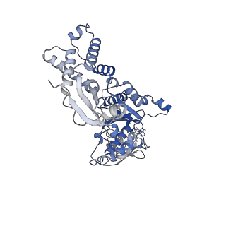 13696_7pxb_F_v1-1
Substrate-engaged mycobacterial Proteasome-associated ATPase - focused 3D refinement (state B)