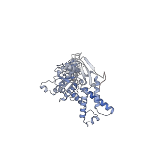 13697_7pxc_A_v1-1
Substrate-engaged mycobacterial Proteasome-associated ATPase in complex with open-gate 20S CP - composite map (state A)