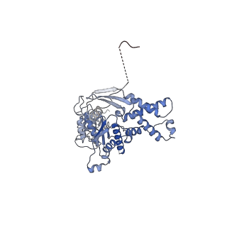 13697_7pxc_B_v1-1
Substrate-engaged mycobacterial Proteasome-associated ATPase in complex with open-gate 20S CP - composite map (state A)