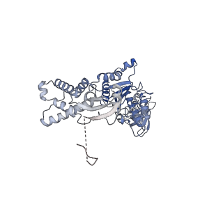 13697_7pxc_C_v1-1
Substrate-engaged mycobacterial Proteasome-associated ATPase in complex with open-gate 20S CP - composite map (state A)