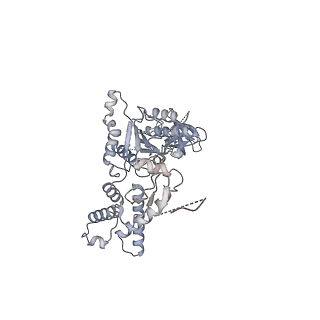 13697_7pxc_D_v1-1
Substrate-engaged mycobacterial Proteasome-associated ATPase in complex with open-gate 20S CP - composite map (state A)