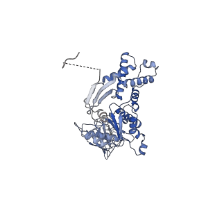 13697_7pxc_E_v1-1
Substrate-engaged mycobacterial Proteasome-associated ATPase in complex with open-gate 20S CP - composite map (state A)