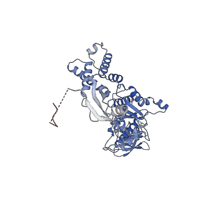 13697_7pxc_F_v1-1
Substrate-engaged mycobacterial Proteasome-associated ATPase in complex with open-gate 20S CP - composite map (state A)
