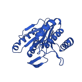 13697_7pxc_H_v1-1
Substrate-engaged mycobacterial Proteasome-associated ATPase in complex with open-gate 20S CP - composite map (state A)