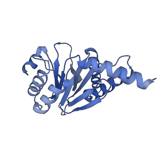 13697_7pxc_K_v1-1
Substrate-engaged mycobacterial Proteasome-associated ATPase in complex with open-gate 20S CP - composite map (state A)