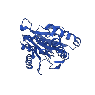 13697_7pxc_L_v1-1
Substrate-engaged mycobacterial Proteasome-associated ATPase in complex with open-gate 20S CP - composite map (state A)