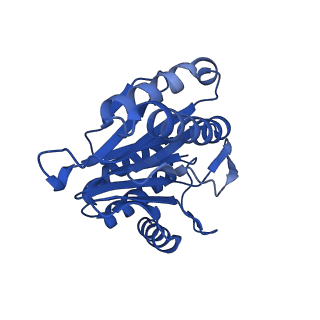 13697_7pxc_R_v1-1
Substrate-engaged mycobacterial Proteasome-associated ATPase in complex with open-gate 20S CP - composite map (state A)