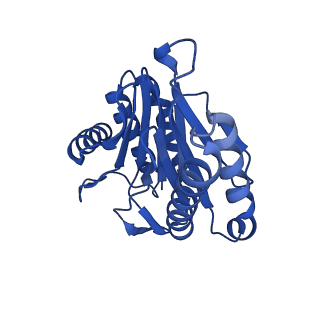 13697_7pxc_Y_v1-1
Substrate-engaged mycobacterial Proteasome-associated ATPase in complex with open-gate 20S CP - composite map (state A)