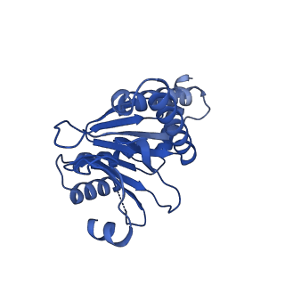 13697_7pxc_f_v1-1
Substrate-engaged mycobacterial Proteasome-associated ATPase in complex with open-gate 20S CP - composite map (state A)