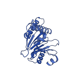 13698_7pxd_0_v1-1
Substrate-engaged mycobacterial Proteasome-associated ATPase in complex with open-gate 20S CP - composite map (state B)