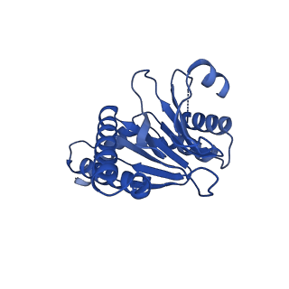 13698_7pxd_4_v1-1
Substrate-engaged mycobacterial Proteasome-associated ATPase in complex with open-gate 20S CP - composite map (state B)