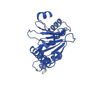 13698_7pxd_6_v1-1
Substrate-engaged mycobacterial Proteasome-associated ATPase in complex with open-gate 20S CP - composite map (state B)
