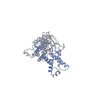 13698_7pxd_A_v1-1
Substrate-engaged mycobacterial Proteasome-associated ATPase in complex with open-gate 20S CP - composite map (state B)