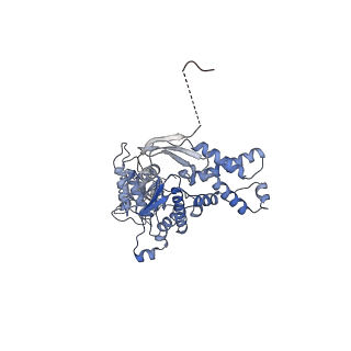 13698_7pxd_B_v1-1
Substrate-engaged mycobacterial Proteasome-associated ATPase in complex with open-gate 20S CP - composite map (state B)