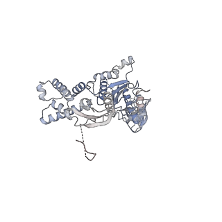 13698_7pxd_C_v1-1
Substrate-engaged mycobacterial Proteasome-associated ATPase in complex with open-gate 20S CP - composite map (state B)