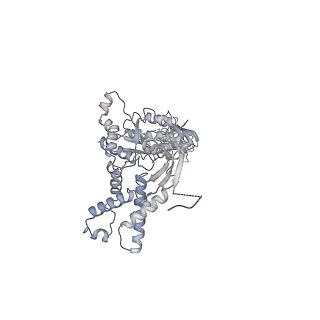 13698_7pxd_D_v1-1
Substrate-engaged mycobacterial Proteasome-associated ATPase in complex with open-gate 20S CP - composite map (state B)