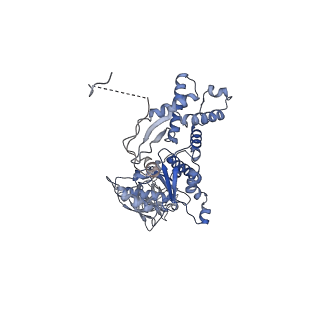 13698_7pxd_E_v1-1
Substrate-engaged mycobacterial Proteasome-associated ATPase in complex with open-gate 20S CP - composite map (state B)