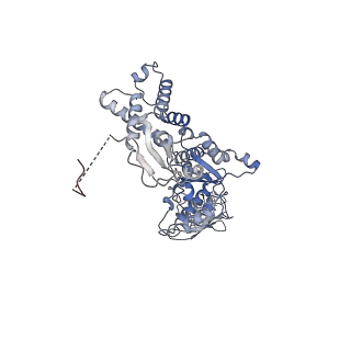 13698_7pxd_F_v1-1
Substrate-engaged mycobacterial Proteasome-associated ATPase in complex with open-gate 20S CP - composite map (state B)