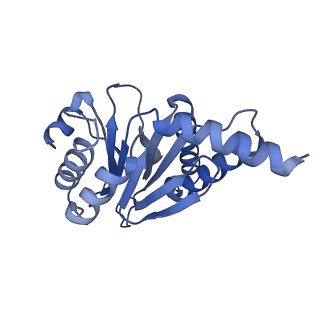 13698_7pxd_K_v1-1
Substrate-engaged mycobacterial Proteasome-associated ATPase in complex with open-gate 20S CP - composite map (state B)