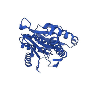 13698_7pxd_L_v1-1
Substrate-engaged mycobacterial Proteasome-associated ATPase in complex with open-gate 20S CP - composite map (state B)