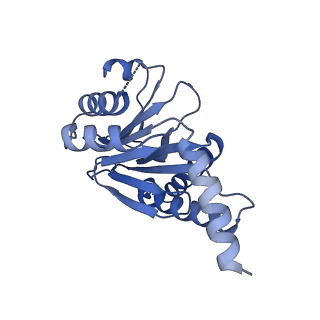 13698_7pxd_X_v1-1
Substrate-engaged mycobacterial Proteasome-associated ATPase in complex with open-gate 20S CP - composite map (state B)