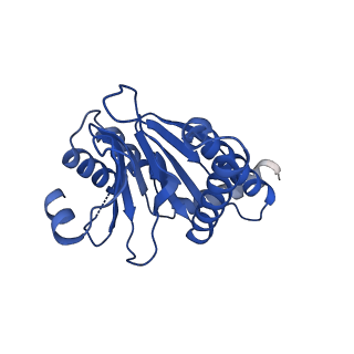 13698_7pxd_d_v1-1
Substrate-engaged mycobacterial Proteasome-associated ATPase in complex with open-gate 20S CP - composite map (state B)
