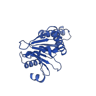 13698_7pxd_f_v1-1
Substrate-engaged mycobacterial Proteasome-associated ATPase in complex with open-gate 20S CP - composite map (state B)