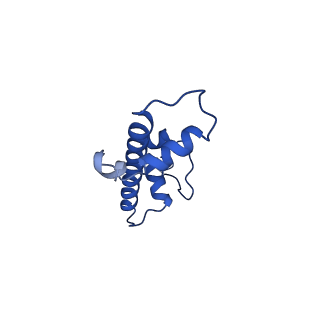 20516_6px1_C_v1-1
Set2 bound to nucleosome