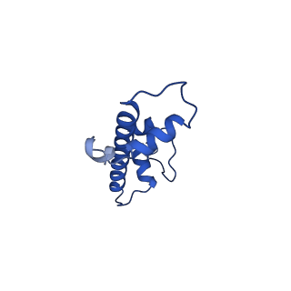 20516_6px1_C_v1-2
Set2 bound to nucleosome