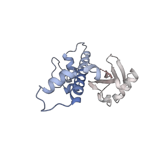20517_6px3_C_v1-1
Set2 bound to nucleosome