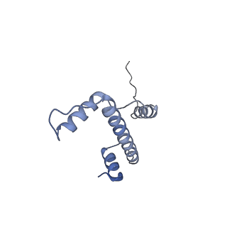20517_6px3_E_v1-1
Set2 bound to nucleosome
