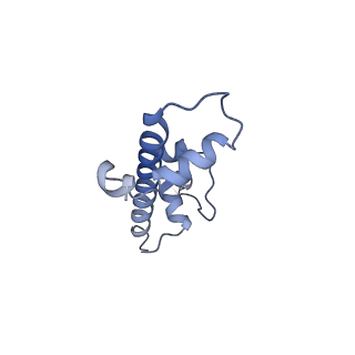 20517_6px3_G_v1-1
Set2 bound to nucleosome