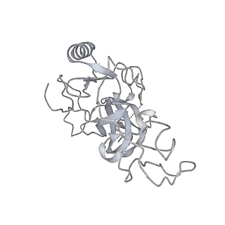 20517_6px3_S_v1-1
Set2 bound to nucleosome