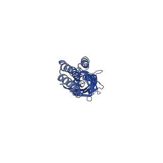 20518_6pxd_E_v1-1
CryoEM structure of zebra fish alpha-1 glycine receptor, Apo state