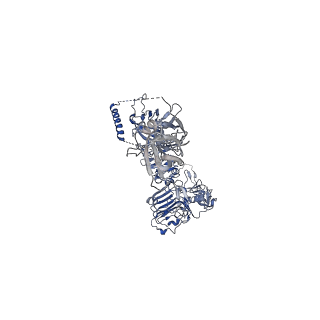 20522_6pxv_A_v1-0
Cryo-EM structure of full-length insulin receptor bound to 4 insulin. 3D refinement was focused on the extracellular region.