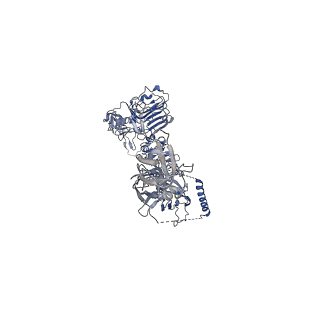 20522_6pxv_C_v1-0
Cryo-EM structure of full-length insulin receptor bound to 4 insulin. 3D refinement was focused on the extracellular region.