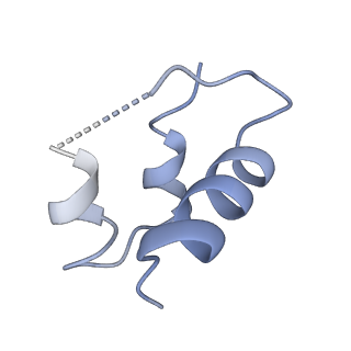 20522_6pxv_G_v1-0
Cryo-EM structure of full-length insulin receptor bound to 4 insulin. 3D refinement was focused on the extracellular region.