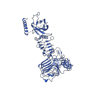 20523_6pxw_A_v1-0
Cryo-EM structure of full-length insulin receptor bound to 4 insulin. 3D refinement was focused on the top part of the receptor complex.