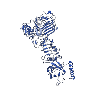 20523_6pxw_B_v1-0
Cryo-EM structure of full-length insulin receptor bound to 4 insulin. 3D refinement was focused on the top part of the receptor complex.