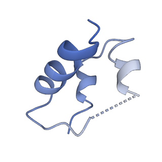 20523_6pxw_E_v1-0
Cryo-EM structure of full-length insulin receptor bound to 4 insulin. 3D refinement was focused on the top part of the receptor complex.