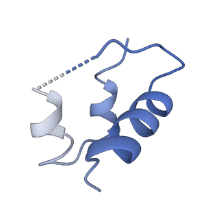 20523_6pxw_F_v1-0
Cryo-EM structure of full-length insulin receptor bound to 4 insulin. 3D refinement was focused on the top part of the receptor complex.