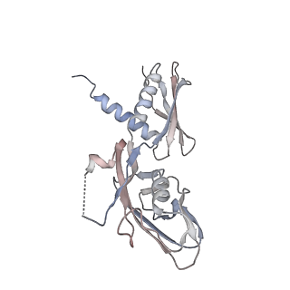 13706_7py0_A_v1-1
CryoEM structure of E.coli RNA polymerase elongation complex bound to NusG (NusG-EC in more-swiveled conformation)